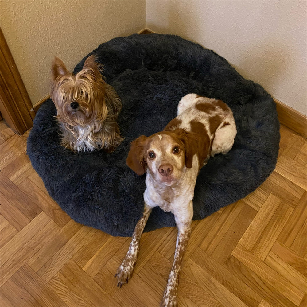 Anxiety Soothing Pet Beds