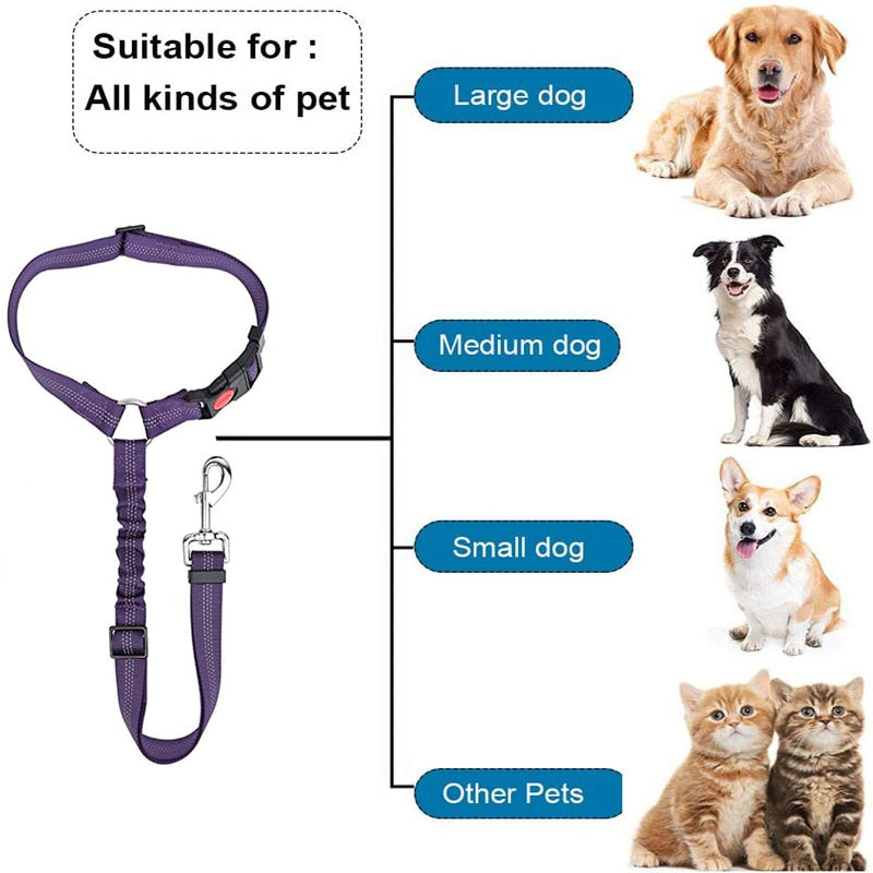 Two-In-One Dog Car Seat Belt
