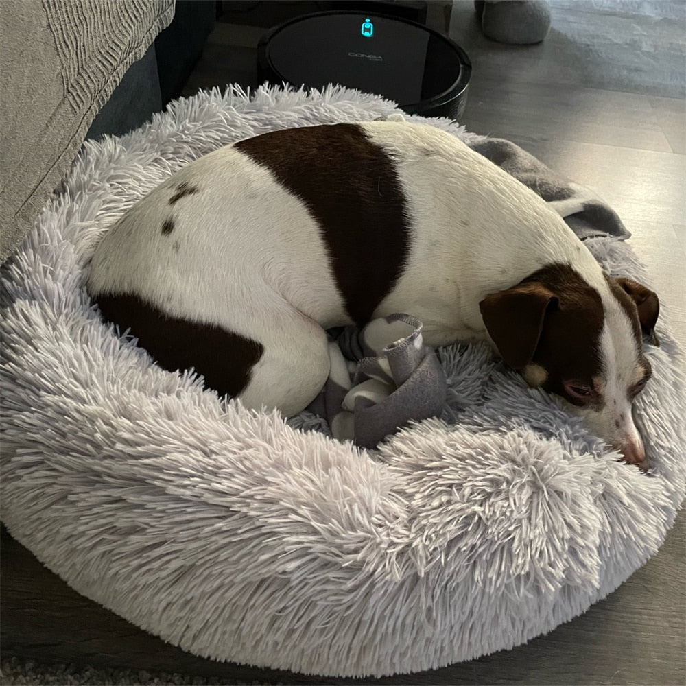 Anxiety Soothing Pet Beds