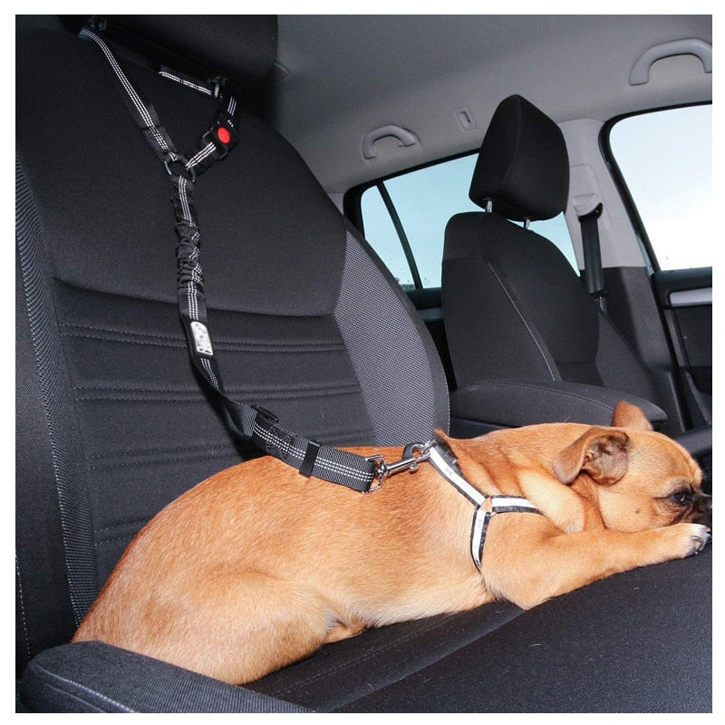 Two-In-One Dog Car Seat Belt