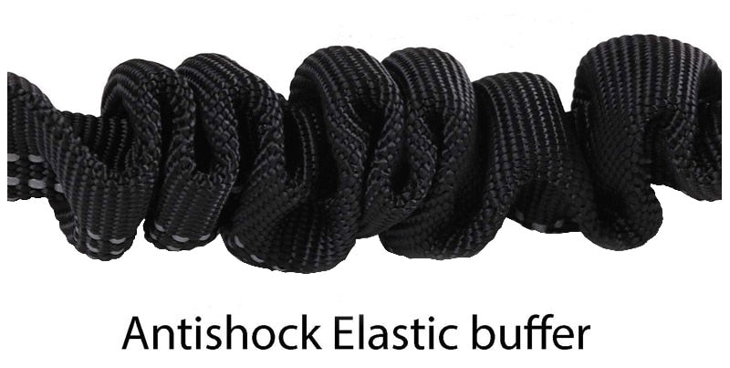 Two-In-One Dog Car Seat Belt