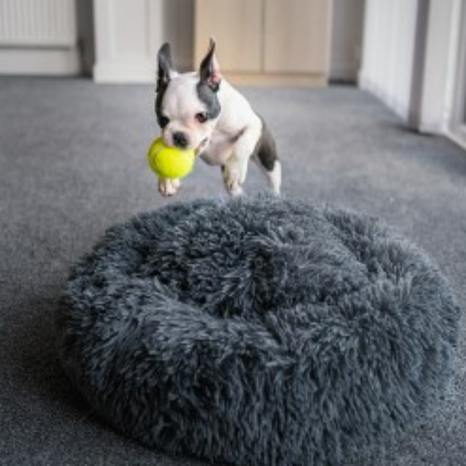Anxiety Soothing Pet Beds