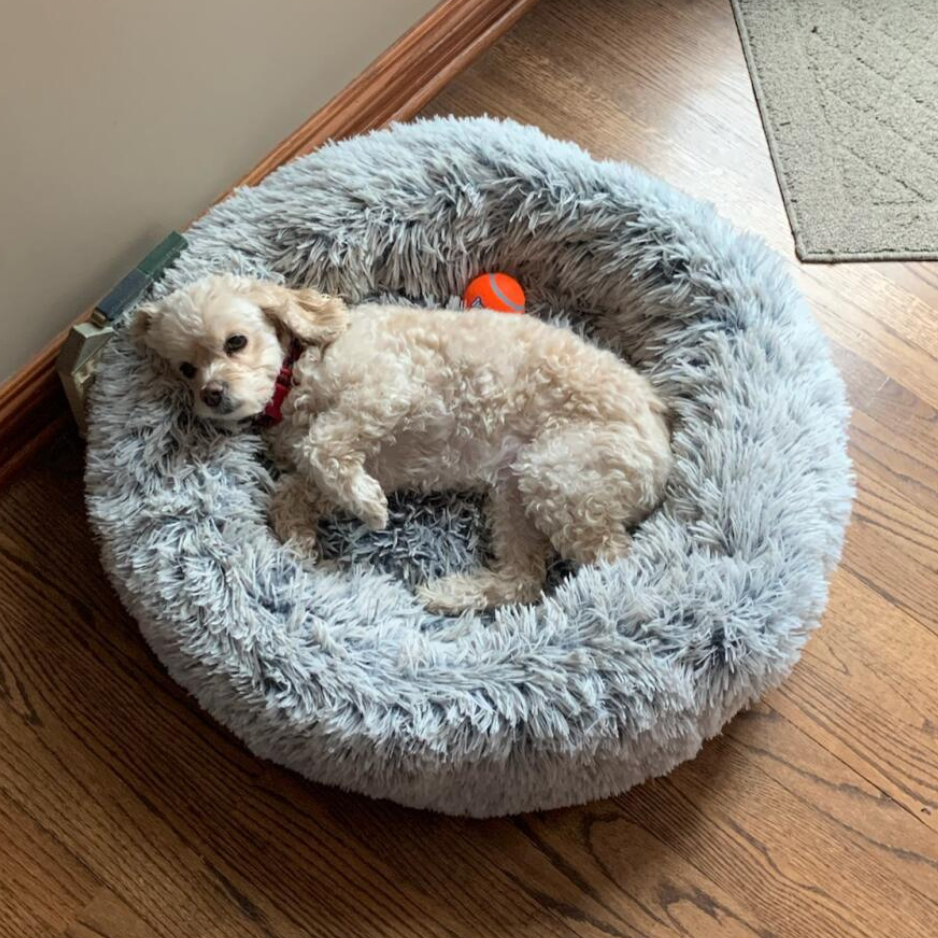 Anxiety Soothing Pet Beds